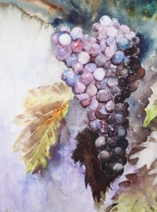 Weintrauben blau