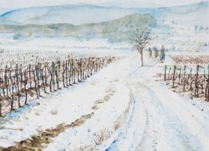 Weingarten im Winter von Baden nach Sooß